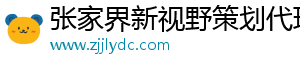 张家界新视野策划代理有限公司